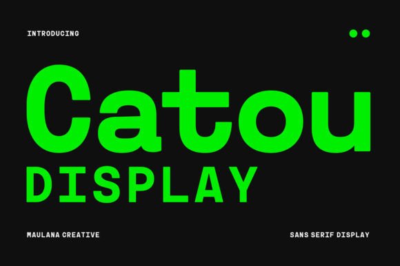 Catou Display Font for Bold Campaign Typography