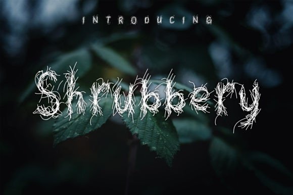 Shrubbery Font for Creative Branding Projects